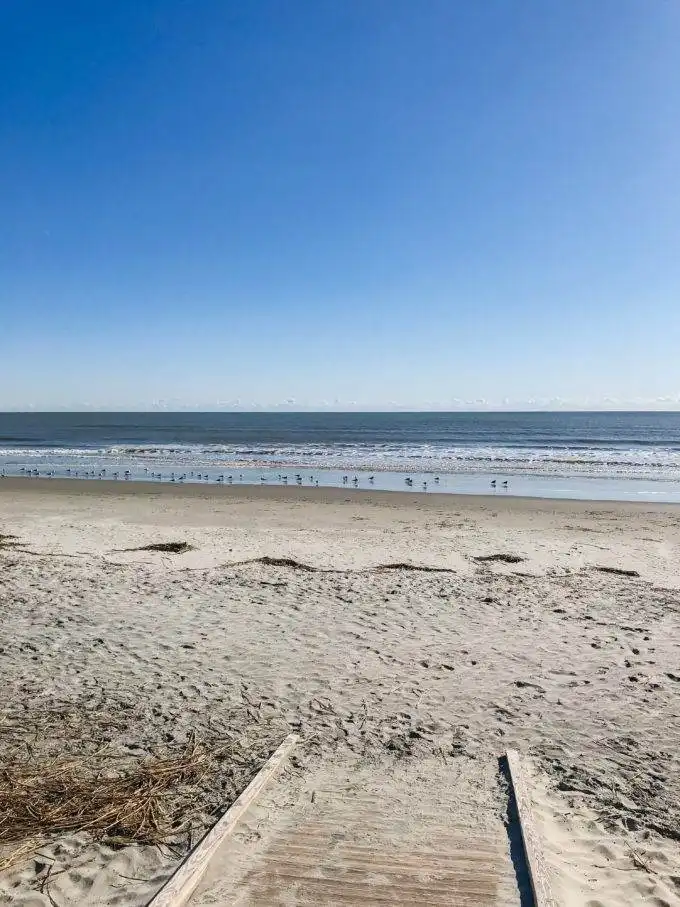 Charleston South Carolina beaches Isle of Palms - Coastal Wandering