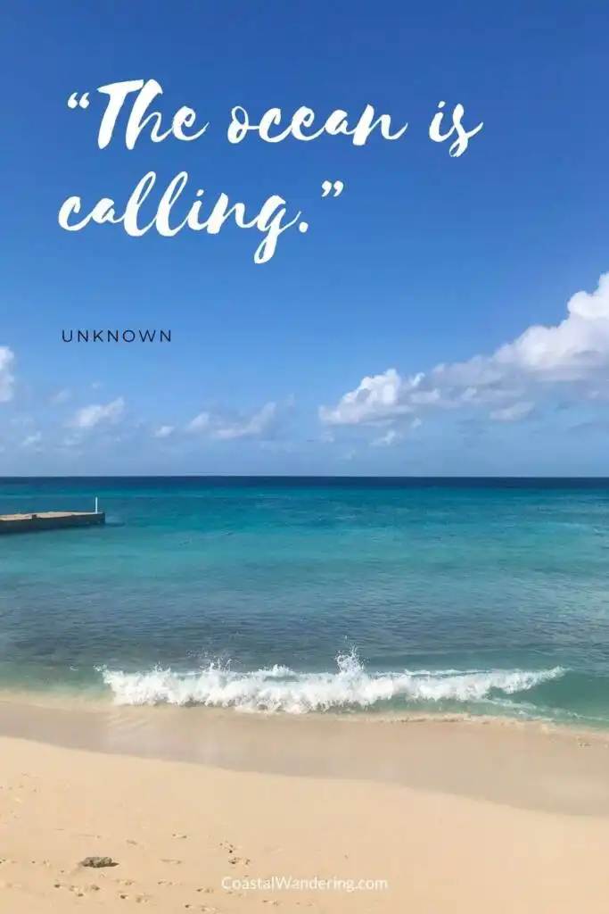 The ocean is calling.