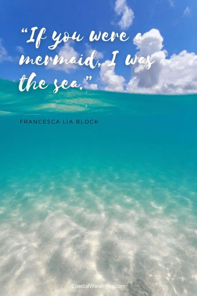 “If you were a mermaid, I was the sea.”
