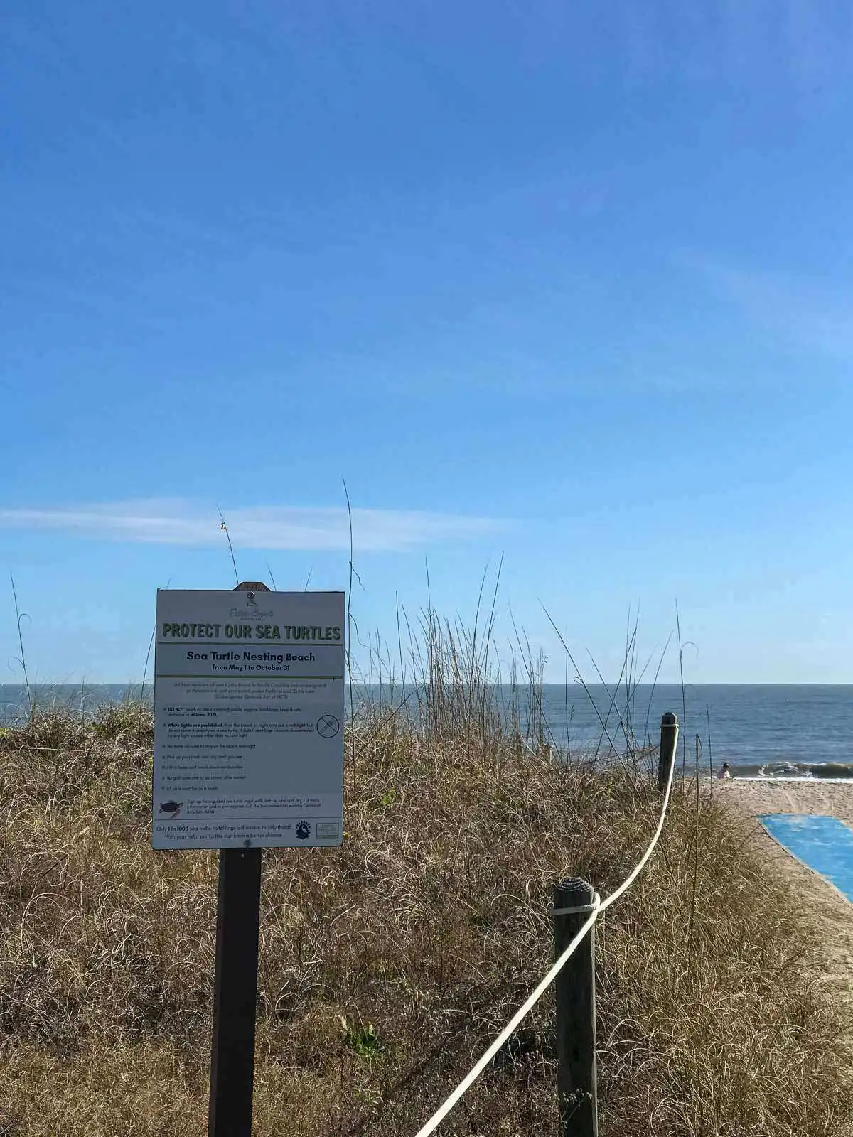 Edisto Beach State Park sea turtle sign