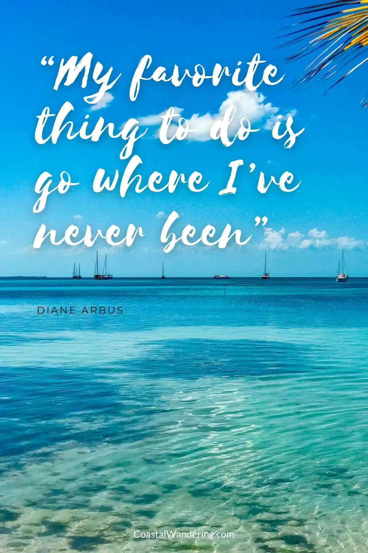 “My favorite thing to do is go where I’ve never been” - Diane Arbus